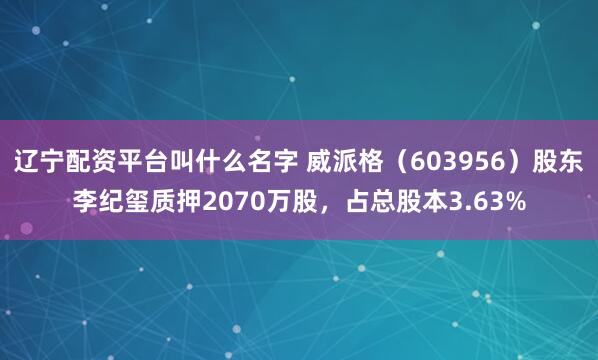 辽宁配资平台叫什么名字 威派格（603956）股东李纪玺质押2070万股，占总股本3.63%