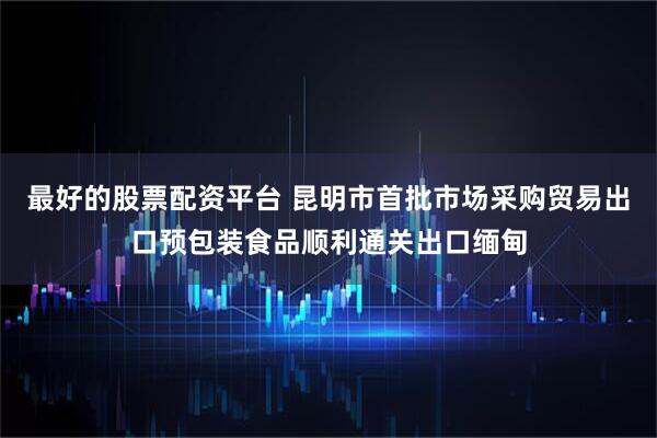 最好的股票配资平台 昆明市首批市场采购贸易出口预包装食品顺利通关出口缅甸